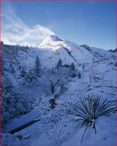 Zion Winter Sunrise