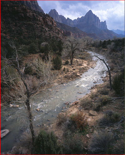 The Virgin River and the Watchman at Sunset