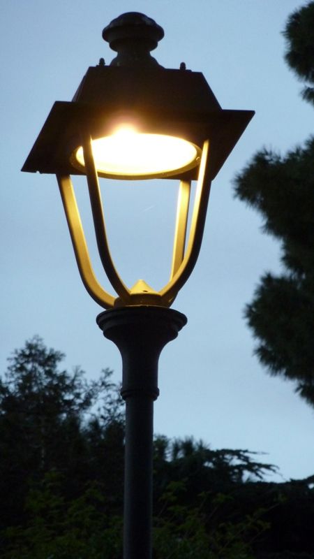 2013_692587f00ced0.jpg 450X800 px